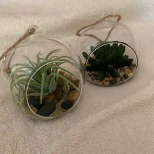 Decorative plant orbs